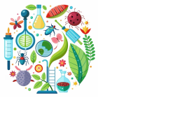 biologialacelula.milaulas.com